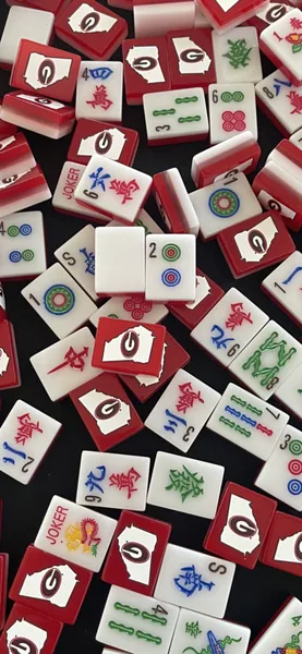UGA -Custom Mahjongg set