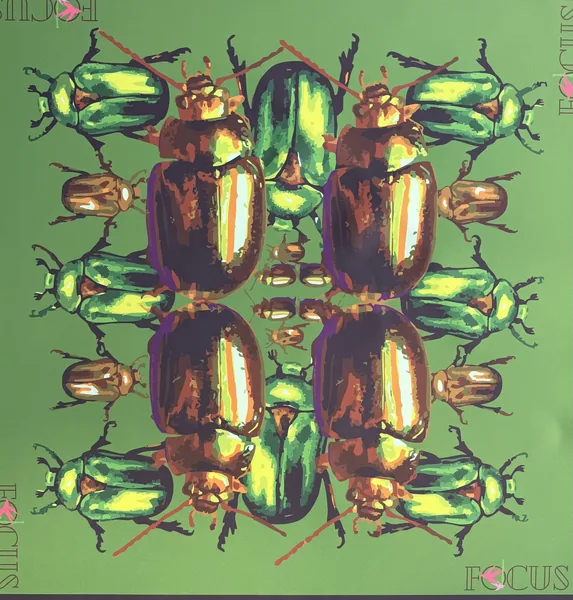Beetlemania Mat - a Two Sparrows x FoCuS collab
