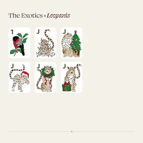 Special Edition Christmas Extended Set - Leopards