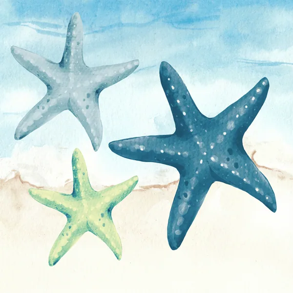 Starfish Neoprene Mat