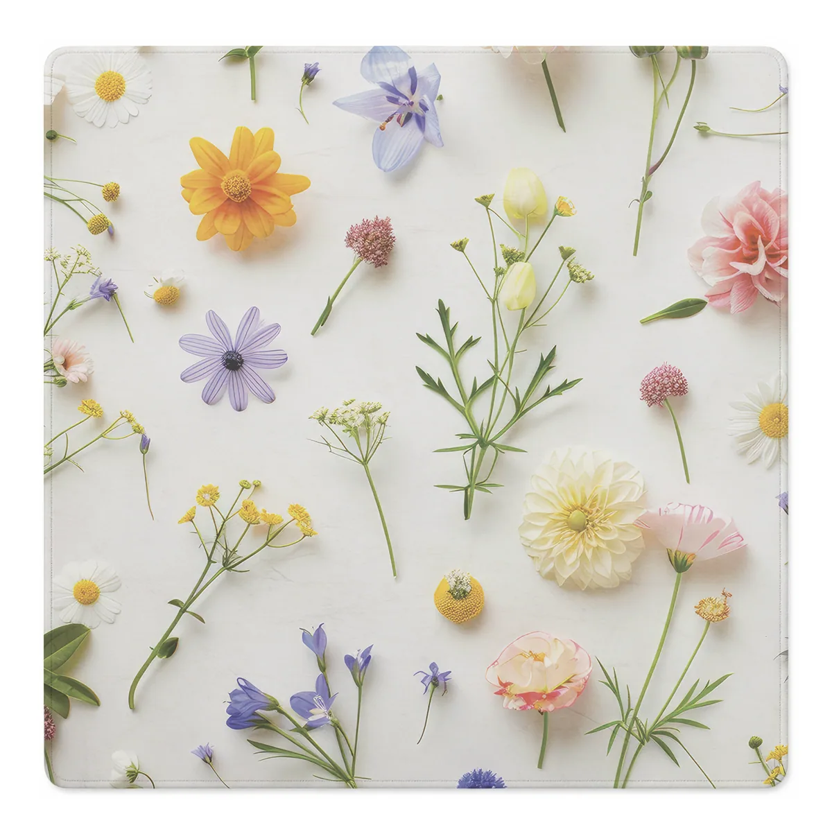 Stem and Bloom