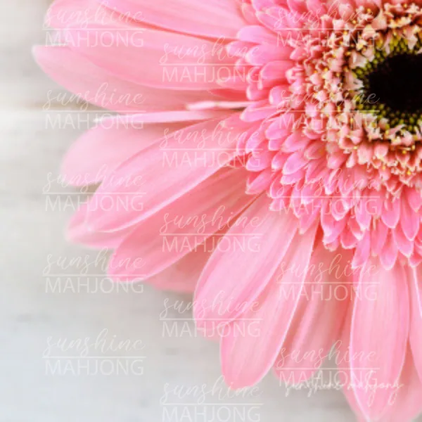 Petal Glow - Daisy
