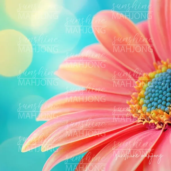 Petal Glow - Coral Daisy