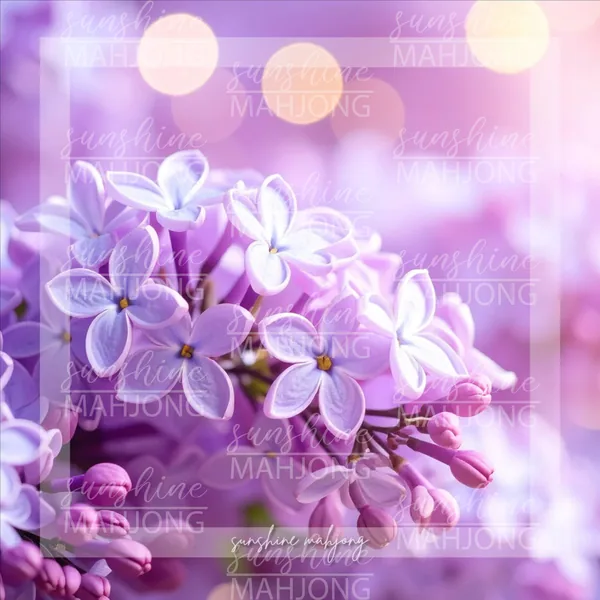 Petal Glow - Lilac